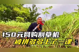 四川单身男荒岛修茅草屋，150元网购割草机，又被拼多多上了一课视频封面