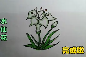 亲子简笔画教程：水仙花的简单画法，简单，好看，一看就会视频封面