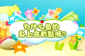 兔小贝十万个为什么：小朋友碰过鱼吗？为什么鱼的身上会有粘液？