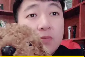 狗狗耳朵掉毛有结痂咋办？皮肤问题，急急急