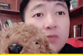 狗狗耳朵掉毛有结痂咋办？皮肤问题，急急急