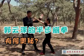 郭云深的半步崩拳有何奥秘？视频封面
