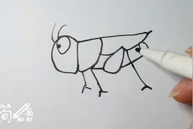 简笔画：(蝈蝈）视频封面