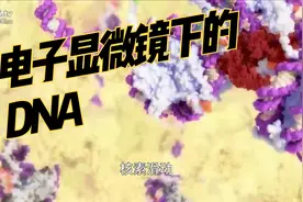 10万倍电子显微镜下真实DNA影像视频封面