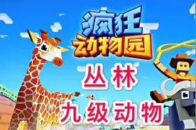 疯狂动物园：丛林“九级动物”大全视频封面
