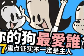 7个特质告诉你，你的狗狗最爱谁？视频封面