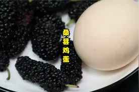 桑葚煮鸡蛋真的太厉害，老爷爷爱吃的，70了头顶也乌黑浓密，实用视频封面