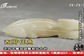 藏友带来朋友的宝贝，买东西送的玉鱼有啥来头？专家鉴定到代真品视频封面