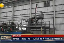 朝阳县：激发“链”式效应，全力打造主题特色园区视频封面