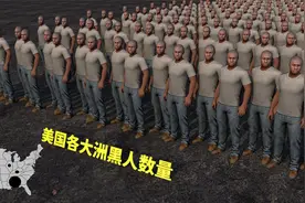 美国各大洲黑人人口视频封面