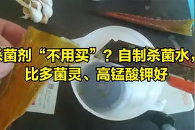 杀菌剂“不用买”？自制杀菌水，比多菌灵、高锰酸钾好视频封面