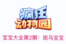 疯狂动物园宝宝大全第2期：斑马宝宝视频封面