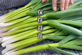 蒜苗吃不完，这样保存蒜苗，不腌不晒，不变色不变味很新鲜