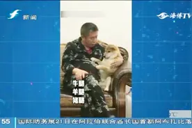 说好不养宠物的家长，一旦养上了，爸妈画风瞬间改变视频封面
