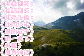 为爱痴狂，秋殇别恋，灰色头像，此间少年，真的汉子视频封面