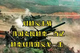 我国支援越南二百亿，越南忘恩负义，许世友将军万炮轰谅山视频封面