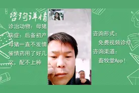 后备母猪，催情药也用了，一直不发情，配不上种，养殖户很着急