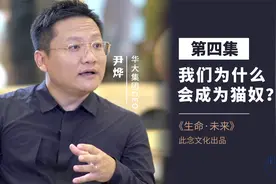 人类为什么会喜欢猫？