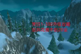 魔兽世界怀旧服：烹饪1-300升级攻略，总共花费不到20金视频封面