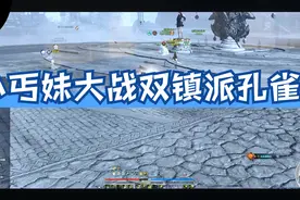 【天涯明月刀ol】Vol1-小丐妹大战双镇派孔雀翎大悲赋视频封面