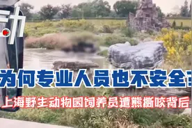 上海野生动物园饲养员遭熊撕咬背后：为何专业人员也不安全？视频封面