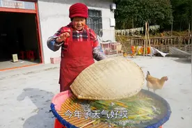 婆婆做豆豉，发霉黄豆是这样的，阿英扬言没见过，能吃吗？