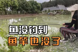 房车营地钓鱼做大餐，令人尴尬的社死现场，钓鱼不成反被鱼钓了视频封面