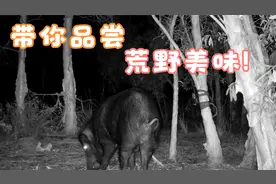 手把手教学，带你品尝荒野美味，嗯 ，真香!!!视频封面