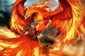 朱雀是离火之精，天地间只有一只，地位比凤凰还要高视频封面