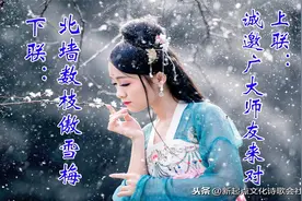经典名曲 一剪梅 上联：诚邀墨客骚友来对 下联:北墙数枝傲雪梅视频封面
