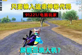 和平精英：只要输入一串神秘代码，就能召唤人机？这到底是真是假