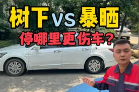 夏天车子停树下和太阳下暴晒，哪种更伤车？修理工一次给你讲清楚
