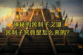 舍利子形成仍是不解之谜 血舍利可分辨出350种颜色！视频封面