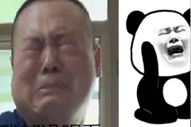 PS教程： 燕子你走了我怎么活表情包/PS练习题视频封面