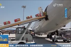 装载各类出口货物十余吨！青岛至大阪跨境电商全货运包机成功首飞视频封面