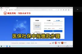 湖北社保医保申报缴费步骤视频封面