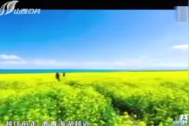 我的旅游攻略：实拍西宁青海湖，碧水蓝天如画卷，让人心旷神怡