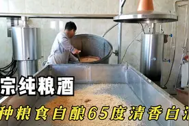 乡村振兴，5种粮食酿造65度清香大曲纯粮酒，酿制方法简单好学视频封面
