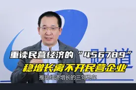 重读民营经济的“456789”，稳增长离不开民营企业视频封面