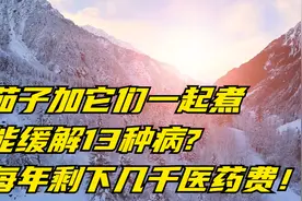 茄子加它们一起煮，能缓解13种病?每年剩下几千医药费！视频封面