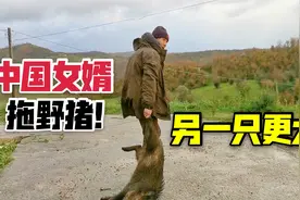 中国女婿冒雨陪意大利老丈人打野猪，一下打两只！老丈人非常满意视频封面