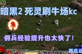 暗黑2，死灵法师刷牛场kc，看佣兵经验涨得有多快~！
