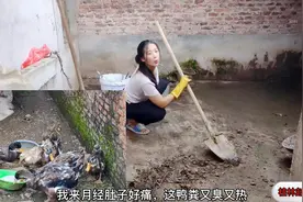 二丫来月经忍着剧痛，在35度高温下挖鸭粪，这种女人命苦又旺夫视频封面