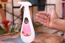 养花长虫子怎么快速处理？园艺师教你，用杀虫水乳剂，一喷就搞定视频封面