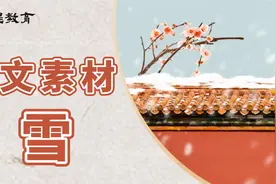 中高考作文素材 |描写雪的优美句子，总有一个写作文的时候用的上视频封面