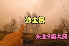 黑龙江9级大风沙尘暴袭击，10年不遇黄沙弥漫，出门真怕被风刮跑视频封面