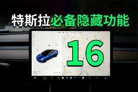 特斯拉用户一定要使用的隐藏功能 & 实用技巧！VLOG｜大耳朵TV
