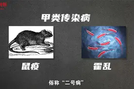 曾造成7次大流行，霍乱的传染性到底有多强？