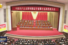 共青团辽宁省第十五次代表大会开幕视频封面