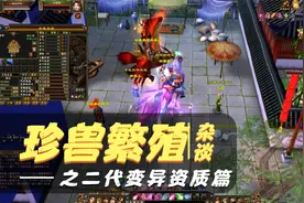 天龙八部怀旧服：两只完美龙龟平均资质2000，繁殖的二代让我想笑视频封面